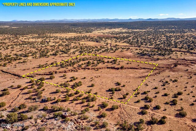 9645 Texas Ln, Show Low, AZ 85901 - photo 5