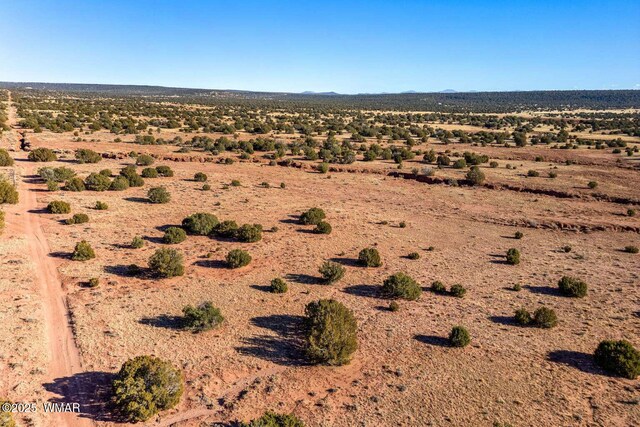 9645 Texas Ln, Show Low, AZ 85901 - photo 13