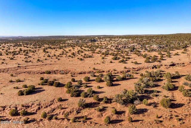 9645 Texas Ln, Show Low, AZ 85901 - photo 12