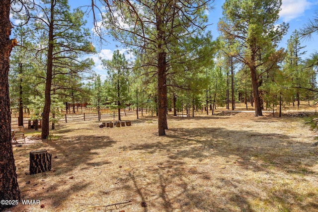 2 Acr 1027, Greer, AZ 85927 - view of yard
