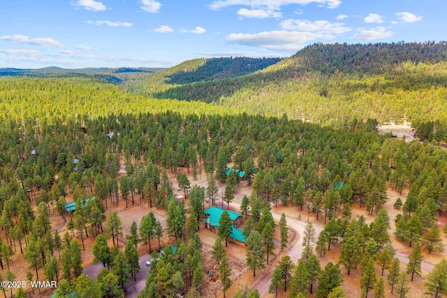 2 Acr 1027, Greer, AZ 85927 - bird's eye view of a forest, a mountainous background, and a pool