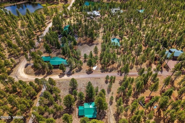 2 Acr 1027, Greer, AZ 85927 - aerial view of a nearby body of water