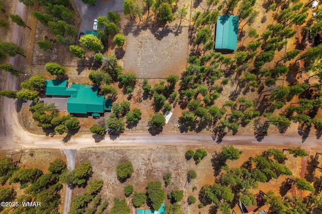 2 Acr 1027, Greer, AZ 85927 - aerial view