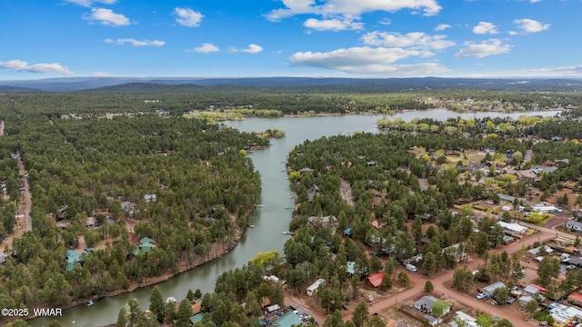 323 N Woodland Rd, Lakeside, AZ 85929 - aerial overview of property's location featuring a nearby body of water and a forest