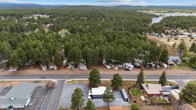 323 N Woodland Rd, Lakeside, AZ 85929 - drone / aerial view of a forest and a nearby body of water