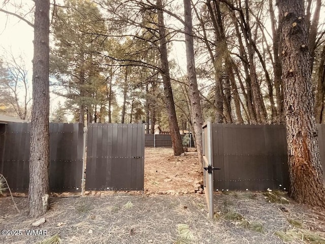 4971 Buck Springs Rd, Pinetop, AZ 85935 - view of gate with fence