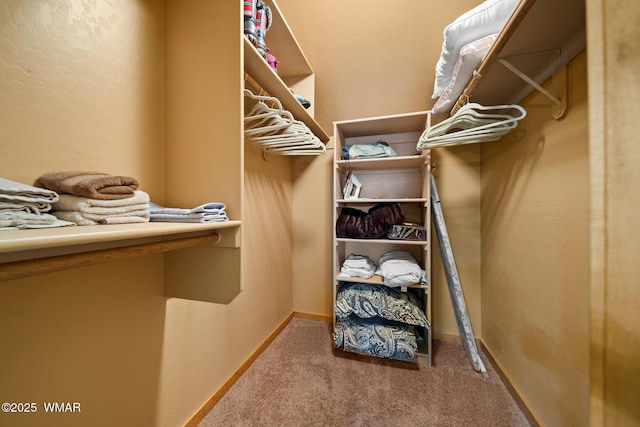 2011 N Lake Breeze Rd, Lakeside, AZ 85929 - spacious closet with carpet floors