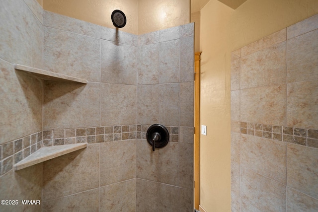 2011 N Lake Breeze Rd, Lakeside, AZ 85929 - full bath featuring a tile shower