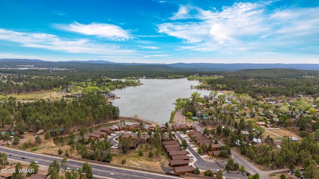 2011 N Lake Breeze Rd, Lakeside, AZ 85929 - view of property location with a water and mountain view and a forest