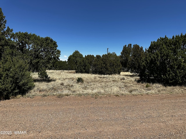 8442 Cochise Cir, Show Low, AZ 85901 - photo 2