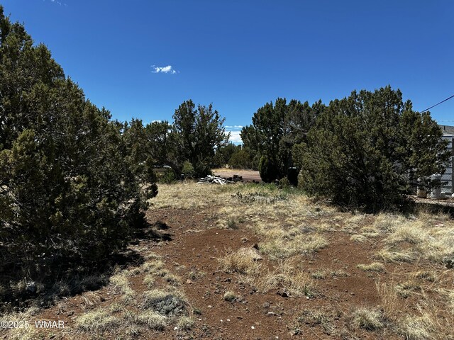 8442 Cochise Cir, Show Low, AZ 85901 - photo 4