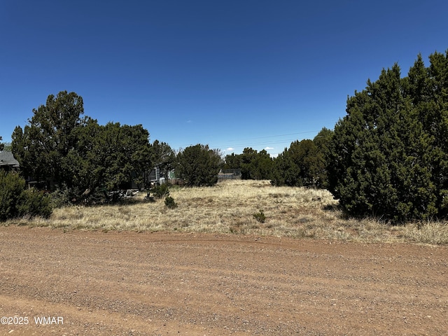 8442 Cochise Cir, Show Low, AZ 85901 - photo 7