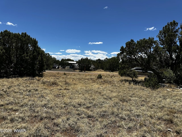 8442 Cochise Cir, Show Low, AZ 85901 - photo 6