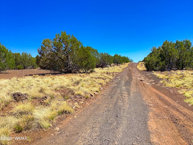 1528 Falcon Rd, Show Low, AZ 85901 - photo 4
