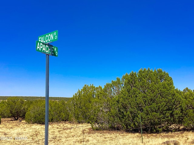 1528 Falcon Rd, Show Low, AZ 85901 - photo 2