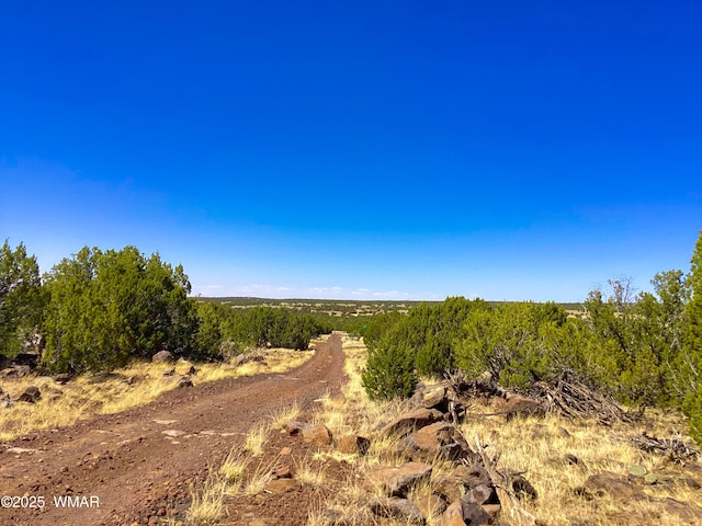 1528 Falcon Rd, Show Low, AZ 85901 - photo 10