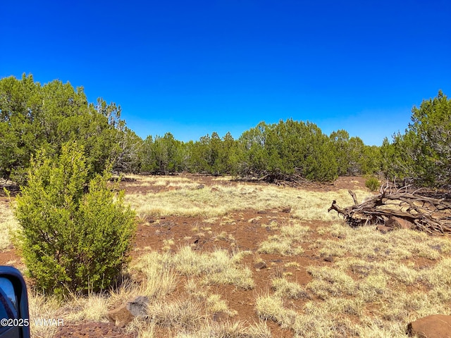 1528 Falcon Rd, Show Low, AZ 85901 - photo 8