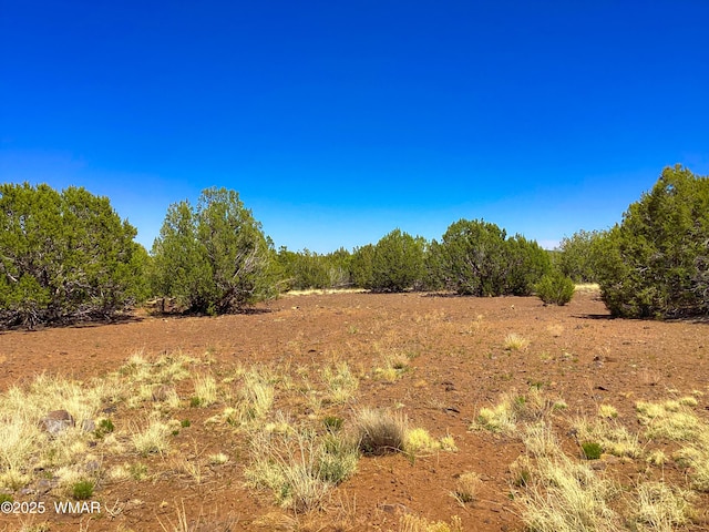 1528 Falcon Rd, Show Low, AZ 85901 - photo 1
