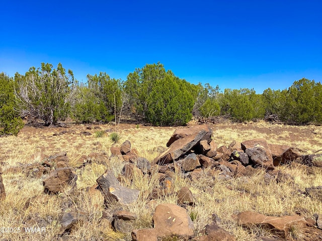 1528 Falcon Rd, Show Low, AZ 85901 - photo 6