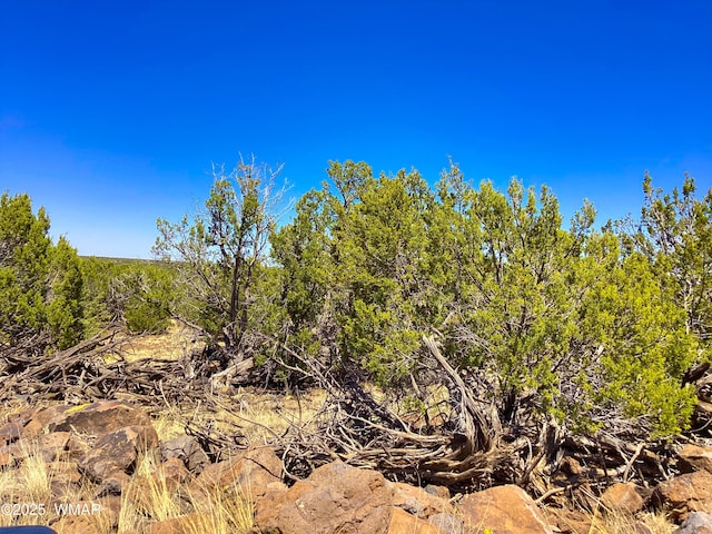 1528 Falcon Rd, Show Low, AZ 85901 - photo 7