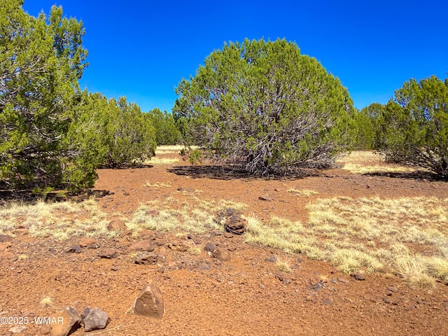 1528 Falcon Rd, Show Low, AZ 85901 - photo 9