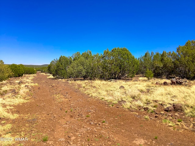 1528 Falcon Rd, Show Low, AZ 85901 - photo 3