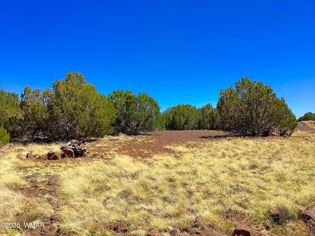 1528 Falcon Rd, Show Low, AZ 85901 - photo 5