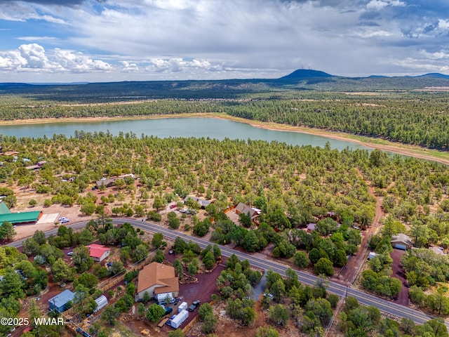 5029 Show Low Lake Rd, Show Low, AZ 85901 - bird's eye view of a forest and a water and mountain view
