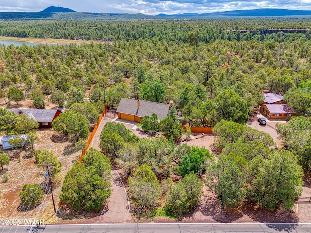 5029 Show Low Lake Rd, Show Low, AZ 85901 - drone / aerial view of a forest and mountains