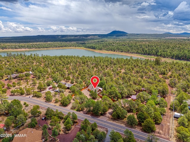 5029 Show Low Lake Rd, Show Low, AZ 85901 - drone / aerial view of a forest and a water and mountain view