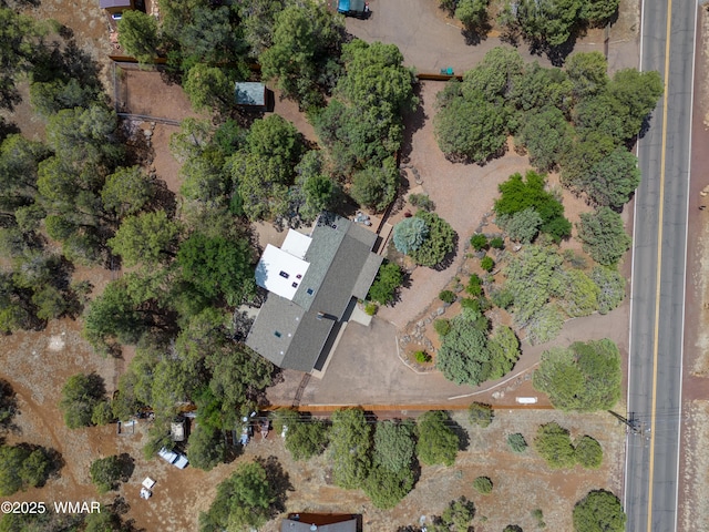 5029 Show Low Lake Rd, Show Low, AZ 85901 - view of property location