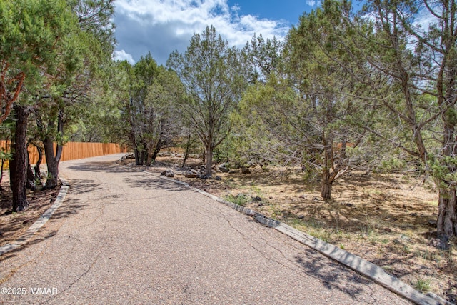 5029 Show Low Lake Rd, Show Low, AZ 85901 - view of street featuring curbs