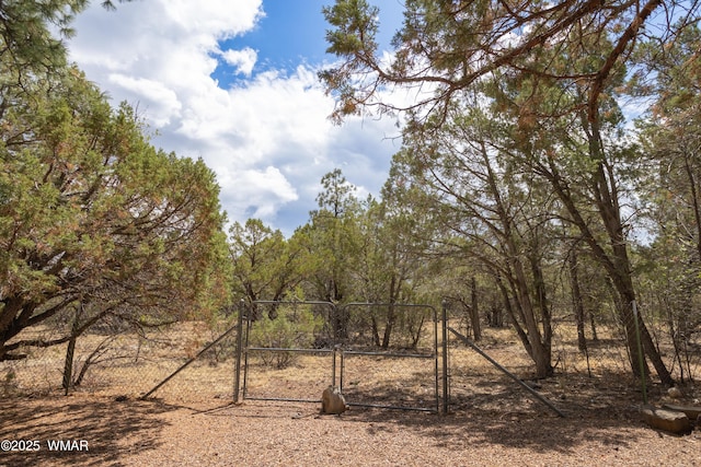 5029 Show Low Lake Rd, Show Low, AZ 85901 - view of nature
