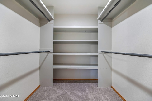 walk in closet with light colored carpet