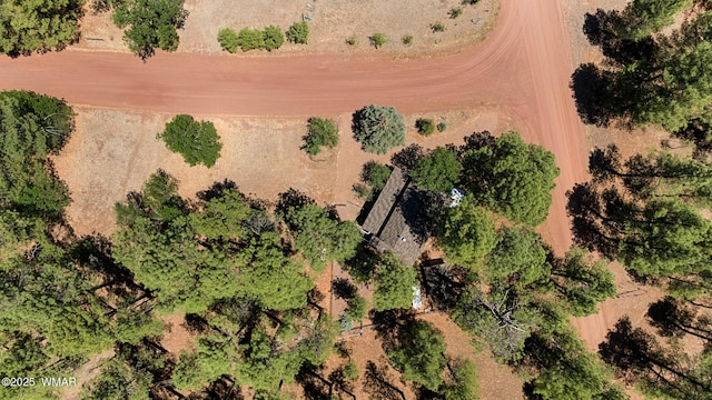 5533 Deer Run, Pinedale, AZ 85934 - photo 6