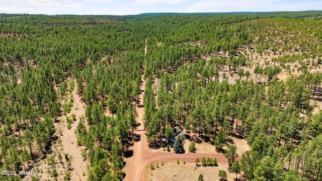 5533 Deer Run, Pinedale, AZ 85934 - photo 4