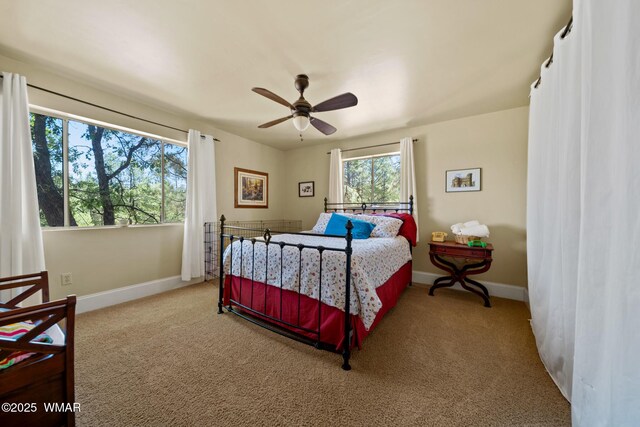 5533 Deer Run, Pinedale, AZ 85934 - photo 21