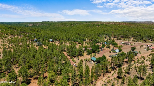 5533 Deer Run, Pinedale, AZ 85934 - photo 5