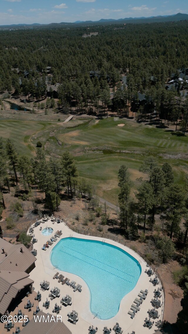 1301 Lakeside Trl, Show Low, AZ 85901 - photo 6