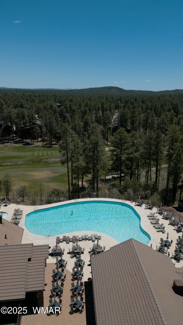 1301 Lakeside Trl, Show Low, AZ 85901 - photo 11