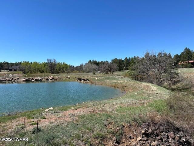 1301 Lakeside Trl, Show Low, AZ 85901 - photo 1
