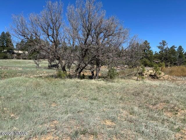 1301 Lakeside Trl, Show Low, AZ 85901 - photo 3