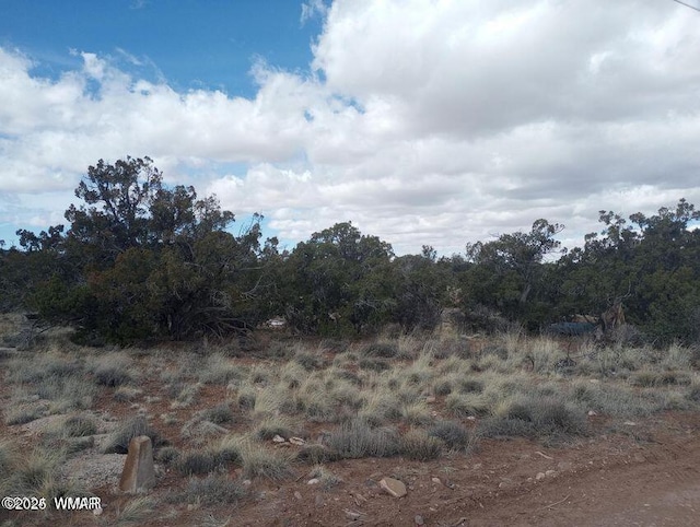 3958 Apache Rd, Snowflake AZ, 85937 land for sale