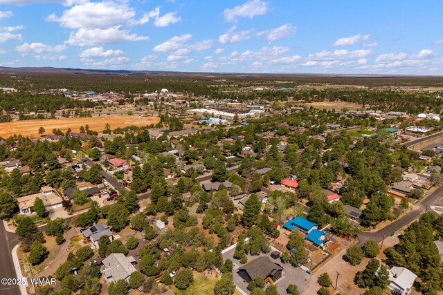 261 S 5th Pl, Show Low, AZ 85901 - photo 51