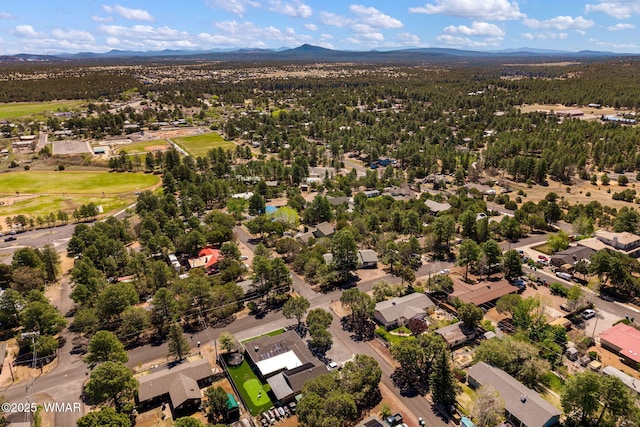 261 S 5th Pl, Show Low, AZ 85901 - aerial view of residential area with a mountain backdrop