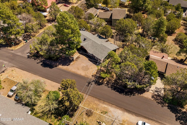 261 S 5th Pl, Show Low, AZ 85901 - aerial view