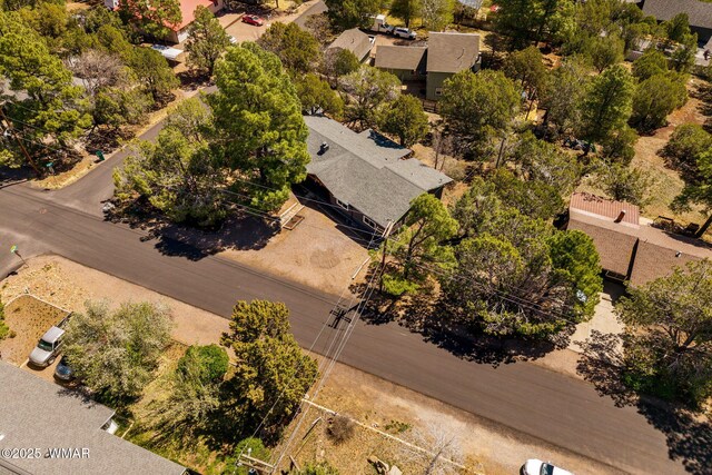 261 S 5th Pl, Show Low, AZ 85901 - photo 47
