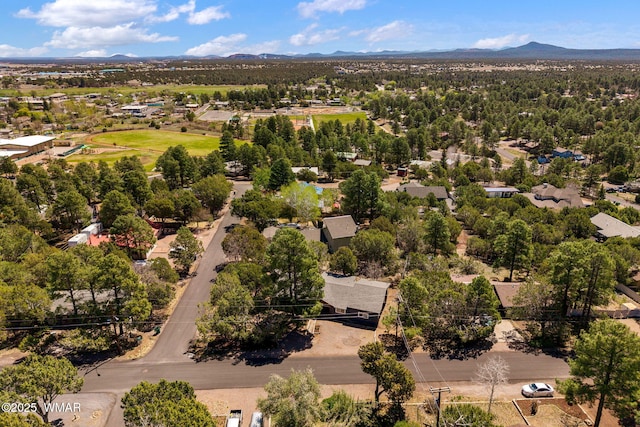 261 S 5th Pl, Show Low, AZ 85901 - aerial view of mountains
