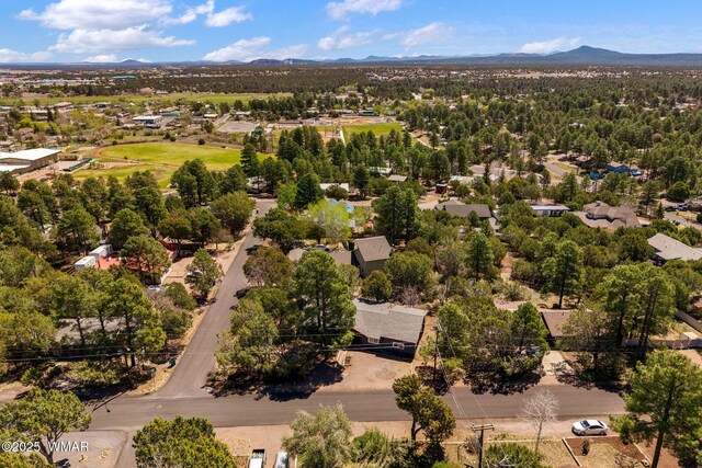 261 S 5th Pl, Show Low, AZ 85901 - photo 48