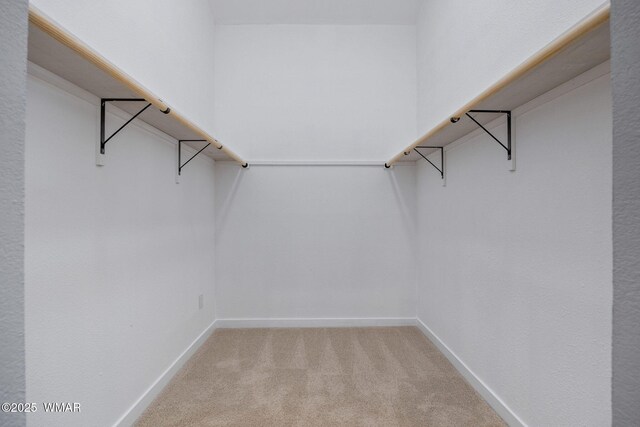 261 S 5th Pl, Show Low, AZ 85901 - spacious closet with light carpet